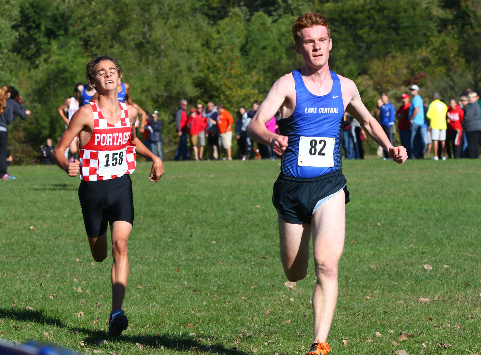 Gallery: Duneland Athletic Conference cross country meet